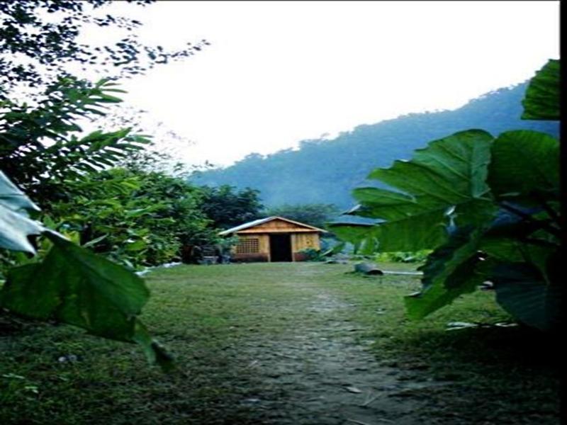 Elephant Brook Resort ริชิเคช ภายนอก รูปภาพ
